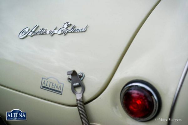 Austin-Healey 100/4 (BN1) 1953 1003