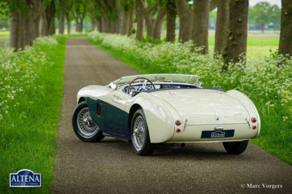 Austin-Healey 100/4 (BN1) 1953 1004