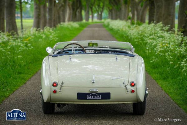 Austin-Healey 100/4 (BN1) 1953 1005