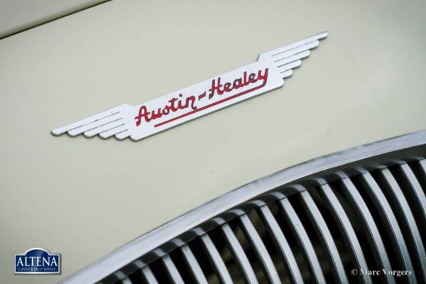 Austin-Healey 100/4 (BN1) 1953 1008