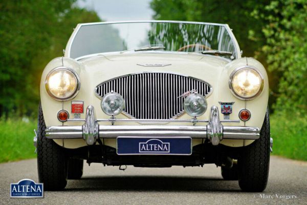 Austin-Healey 100/4 (BN1) 1955