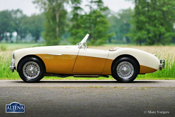 Austin-Healey 100/4 (BN1) 1955 1009