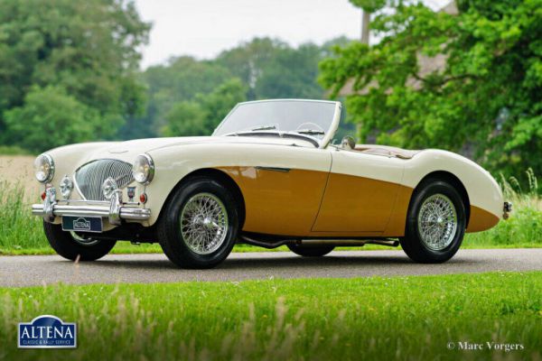 Austin-Healey 100/4 (BN1) 1955 1010