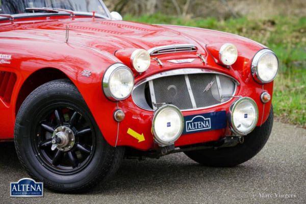 Austin-Healey 100/6 (BN4) 1958