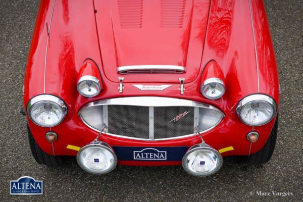 Austin-Healey 100/6 (BN4) 1958 1029