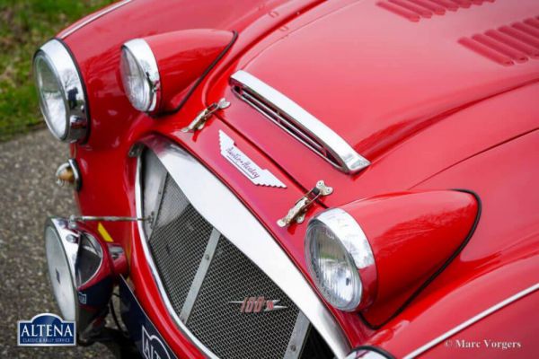 Austin-Healey 100/6 (BN4) 1958 1031