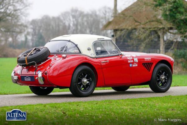 Austin-Healey 100/6 (BN4) 1958 1036