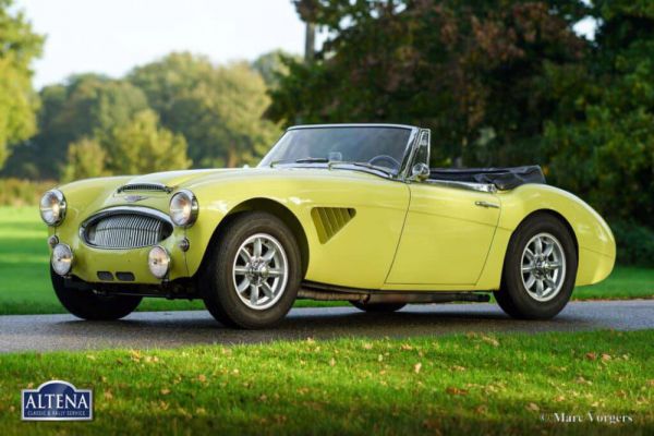 Austin-Healey 3000 Mk II (BJ7) 1963 1038