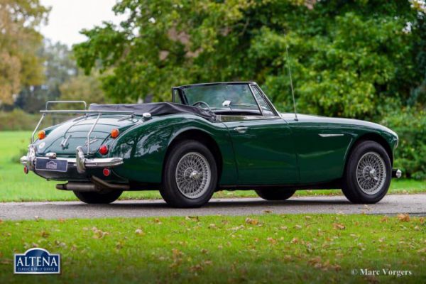 Austin-Healey 3000 Mk III (BJ8) 1966 1061