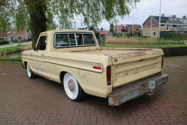 Ford F-100 1979 82112