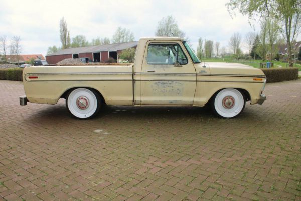 Ford F-100 1979 82114