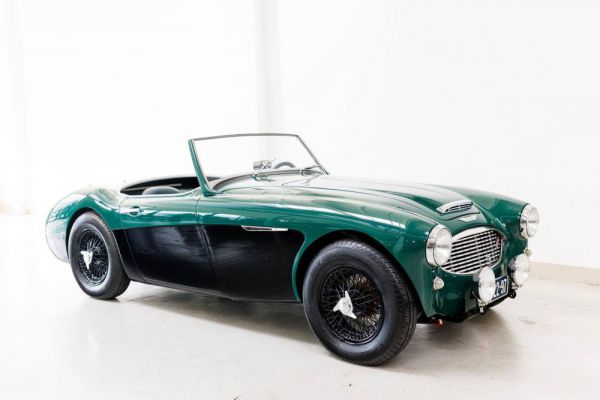 Austin-Healey 100/6 (BN6) 1958 13660