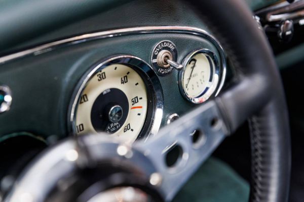 Austin-Healey 100/6 (BN6) 1958 13665