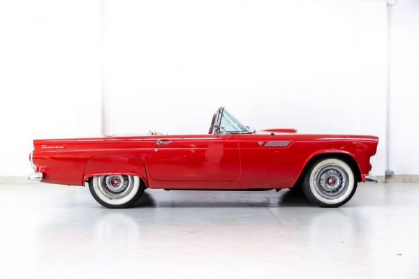 Ford Thunderbird 1955 104503