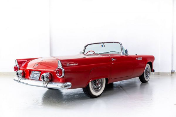 Ford Thunderbird 1955 104504