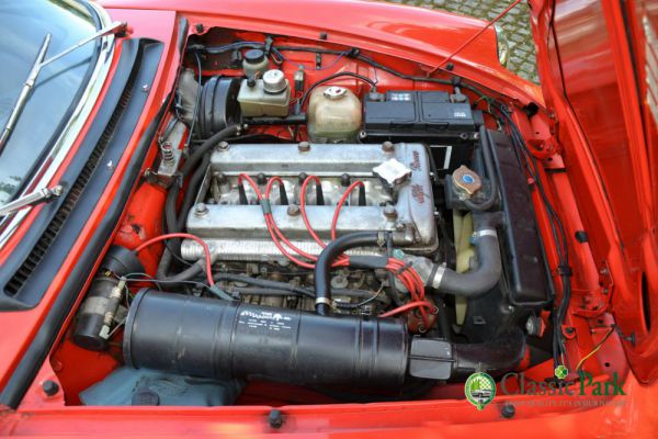 Alfa Romeo Spider Veloce 2000 1981 12409