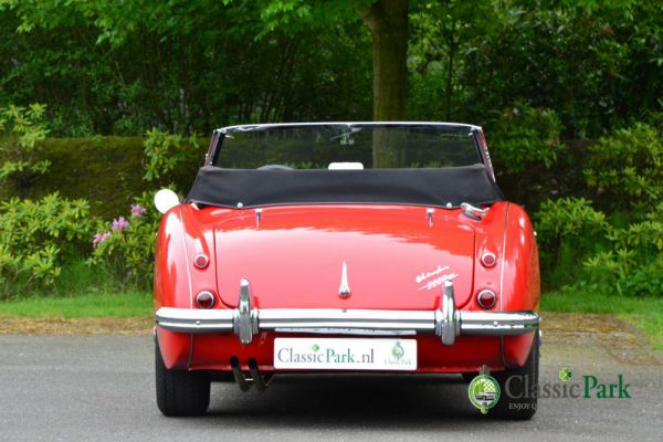 Austin-Healey 3000 Mk II (BJ7) 1962 12425