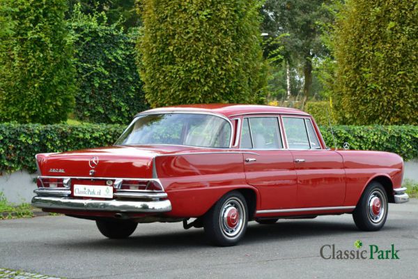 Mercedes-Benz 220 SE b 1962 12568