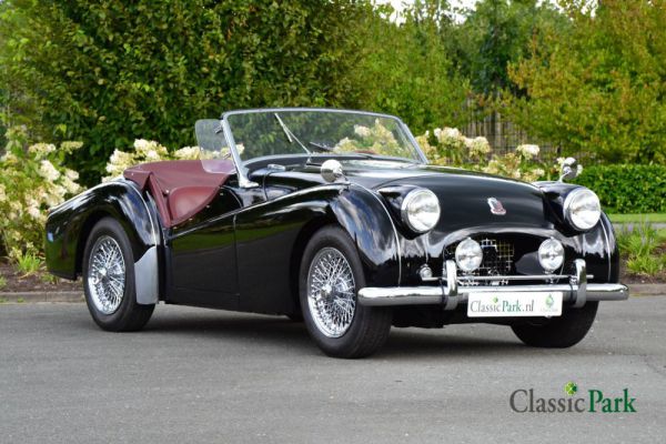 Triumph TR 2 1955 12861