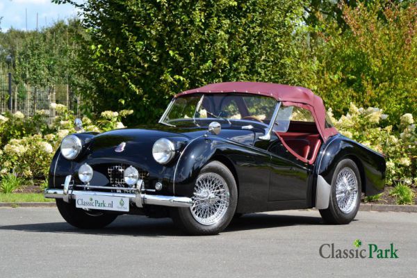 Triumph TR 2 1955 12862