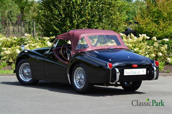 Triumph TR 2 1955 12863