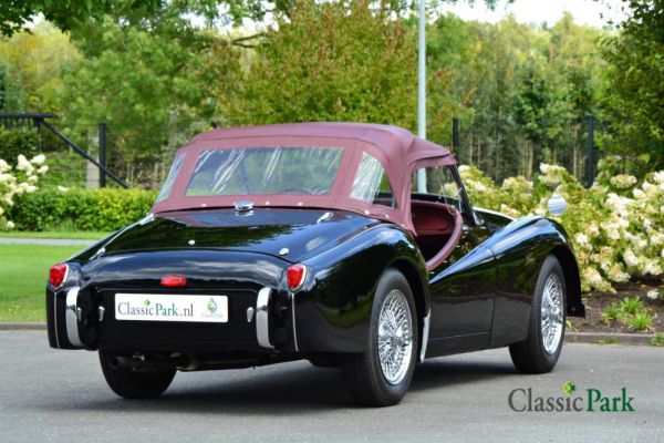 Triumph TR 2 1955 12864