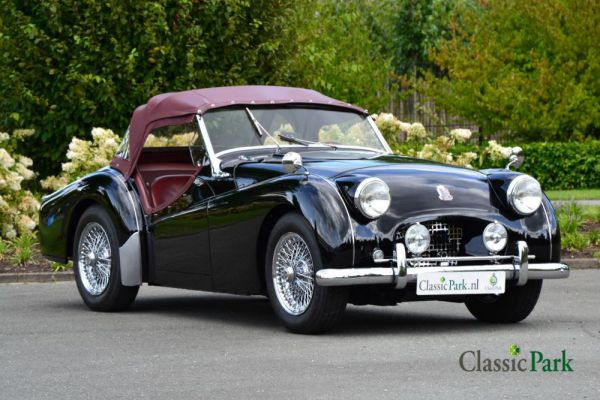 Triumph TR 2 1955 12865