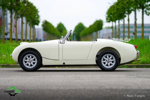 Austin-Healey Sprite Mk I 1958 12049