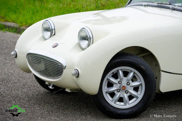 Austin-Healey Sprite Mk I 1958 12059