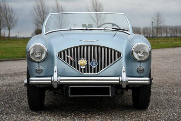 Austin-Healey 100/4 (BN1) 1954