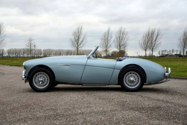 Austin-Healey 100/4 (BN1) 1954 95505