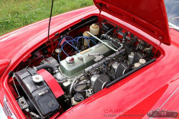 Austin-Healey 3000 Mk II (BN7) 1961 8950