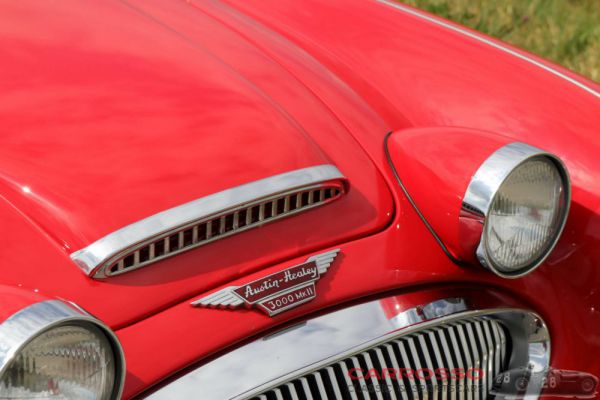 Austin-Healey 3000 Mk II (BN7) 1961 8956