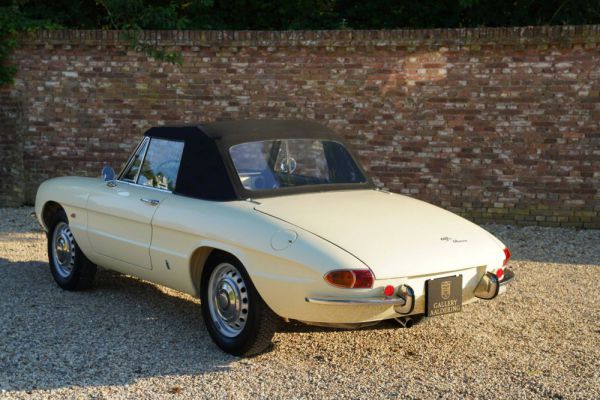 Alfa Romeo 1600 Spider Duetto 1967 15557