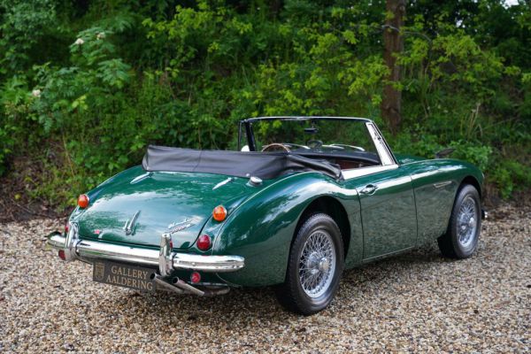 Austin-Healey 3000 Mk III (BJ8) 1967