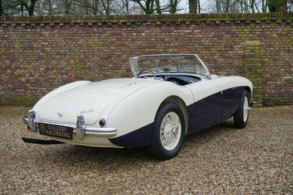 Austin-Healey 100/4 (BN1) 1955