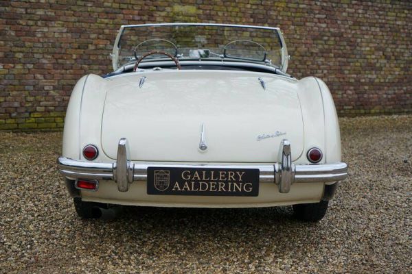 Austin-Healey 100/4 (BN1) 1955 18826