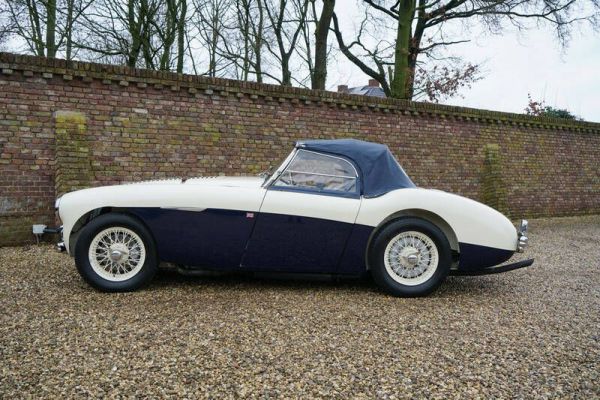 Austin-Healey 100/4 (BN1) 1955 18827