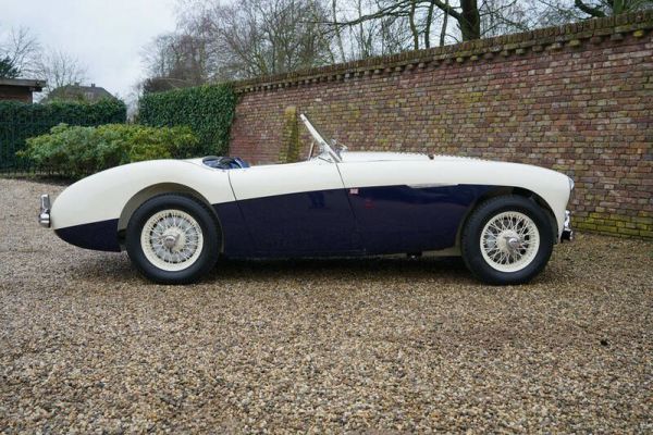 Austin-Healey 100/4 (BN1) 1955 18835