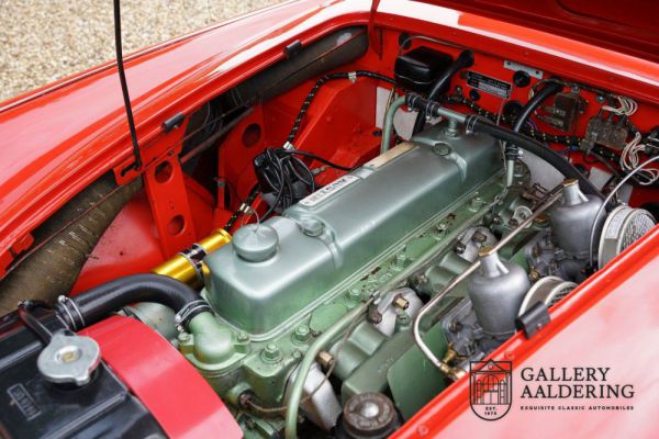 Austin-Healey 100/6 (BN4) 1959 19202