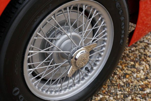 Austin-Healey 100/6 (BN4) 1959 19204