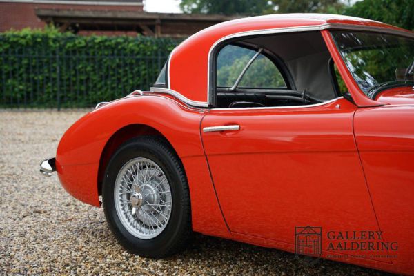 Austin-Healey 100/6 (BN4) 1959 19205