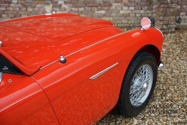 Austin-Healey 100/6 (BN4) 1959 19207