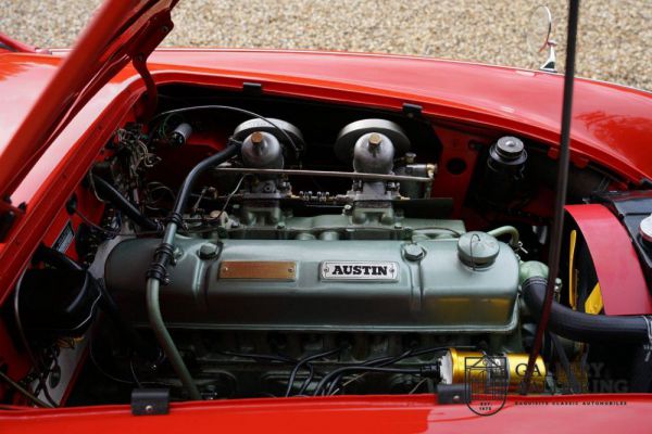 Austin-Healey 100/6 (BN4) 1959 19208