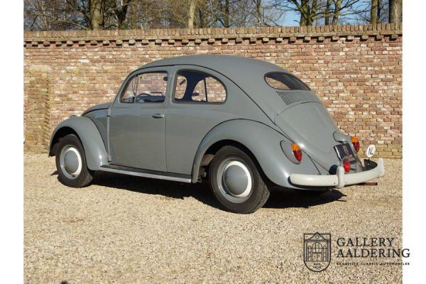 Volkswagen Maggiolino 1200 Standard "Ovali" 1955