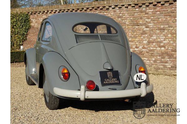 Volkswagen Maggiolino 1200 Standard "Ovali" 1955 19511