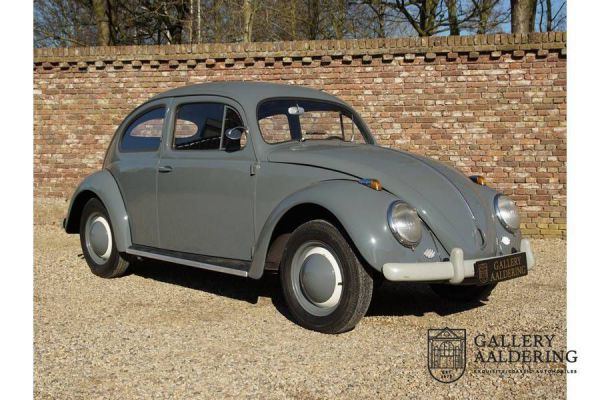 Volkswagen Maggiolino 1200 Standard "Ovali" 1955 19512