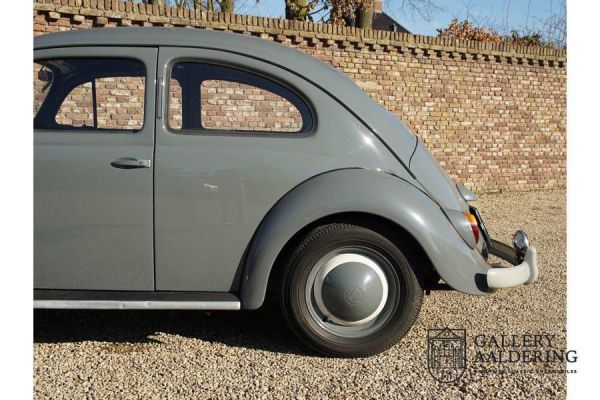 Volkswagen Maggiolino 1200 Standard "Ovali" 1955 19513