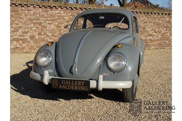 Volkswagen Maggiolino 1200 Standard "Ovali" 1955 19514