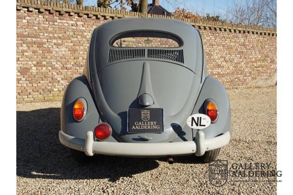 Volkswagen Maggiolino 1200 Standard "Ovali" 1955 19519